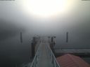 ./images/calvert/dock/20220211/dock20220211_081003.jpg