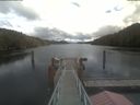 ./images/calvert/dock/20220426/dock20220426_131002.jpg