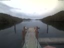 ./images/calvert/dock/20220429/dock20220429_204502.jpg