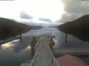 ./images/calvert/dock/20220509/dock20220509_061502.jpg