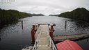 ./images/calvert/dock/20221104/dock20221104_092000M.jpg