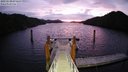./images/calvert/dock/20221110/dock20221110_071500M.jpg