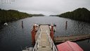 ./images/calvert/dock/20221111/dock20221111_153000M.jpg