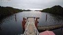 ./images/calvert/dock/20221111/dock20221111_163000M.jpg