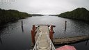 ./images/calvert/dock/20221112/dock20221112_110000M.jpg