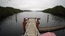 ./images/calvert/dock/20221112/dock20221112_111500M.jpg