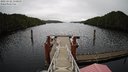 ./images/calvert/dock/20221112/dock20221112_113000M.jpg