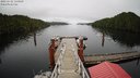 ./images/calvert/dock/20221112/dock20221112_133500M.jpg