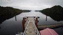 ./images/calvert/dock/20221112/dock20221112_153500M.jpg