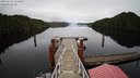 ./images/calvert/dock/20221112/dock20221112_155500M.jpg