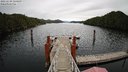 ./images/calvert/dock/20221119/dock20221119_124500M.jpg
