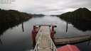 ./images/calvert/dock/20221120/dock20221120_122500M.jpg