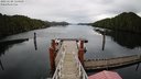 ./images/calvert/dock/20221120/dock20221120_124500M.jpg