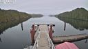 ./images/calvert/dock/20221227/dock20221227_123000M.jpg