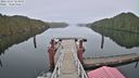 ./images/calvert/dock/20221227/dock20221227_123500M.jpg