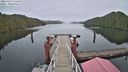 ./images/calvert/dock/20221227/dock20221227_132000M.jpg