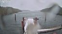 ./images/calvert/dock/20230225/dock20230225_092000M.jpg