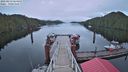 ./images/calvert/dock/20230413/dock20230413_064500M.jpg