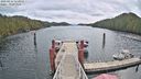 ./images/calvert/dock/20230414/dock20230414_113000M.jpg