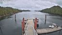 ./images/calvert/dock/20230415/dock20230415_144000M.jpg
