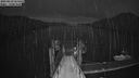./images/calvert/dock/20230419/dock20230419_211500M.jpg
