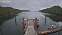 ./images/calvert/dock/20230424/dock20230424_113500M.jpg