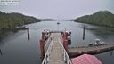 ./images/calvert/dock/20230501/dock20230501_103000M.jpg