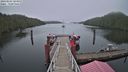 ./images/calvert/dock/20230501/dock20230501_104000M.jpg