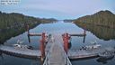 ./images/calvert/dock/20230510/dock20230510_212000M.jpg