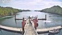 ./images/calvert/dock/20230512/dock20230512_104500M.jpg