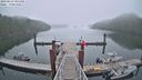 ./images/calvert/dock/20230517/dock20230517_091000M.jpg