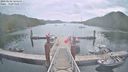 ./images/calvert/dock/20230602/dock20230602_105500M.jpg