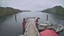 ./images/calvert/dock/20240402/dock20240402_074501M.jpg