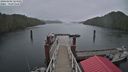 ./images/calvert/dock/20240406/dock20240406_124002M.jpg