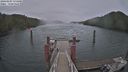 ./images/calvert/dock/20240407/dock20240407_171001M.jpg