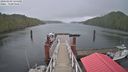 ./images/calvert/dock/20240408/dock20240408_135501M.jpg