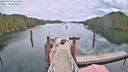 ./images/calvert/dock/20240503/dock20240503_121001M.jpg