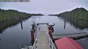./images/calvert/dock/20241229/dock20241229_090009M.jpg