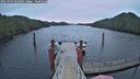 ./images/calvert/dock/20250103/dock20250103_083009M.jpg