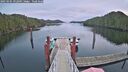 ./images/calvert/dock/20250105/dock20250105_092009M.jpg