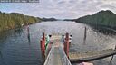 ./images/calvert/dock/20250105/dock20250105_114009M.jpg