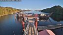 ./images/calvert/dock/20250105/dock20250105_142009M.jpg