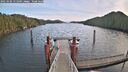 ./images/calvert/dock/20250106/dock20250106_111509M.jpg