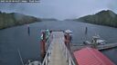 ./images/calvert/dock/20250109/dock20250109_084507M.jpg