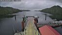 ./images/calvert/dock/20250110/dock20250110_081510M.jpg