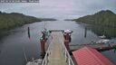 ./images/calvert/dock/20250110/dock20250110_082509M.jpg