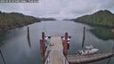 ./images/calvert/dock/20250110/dock20250110_165009M.jpg