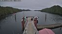 ./images/calvert/dock/20250111/dock20250111_124509M.jpg