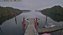 ./images/calvert/dock/20250112/dock20250112_151009M.jpg