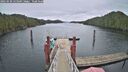 ./images/calvert/dock/20250120/dock20250120_133509M.jpg